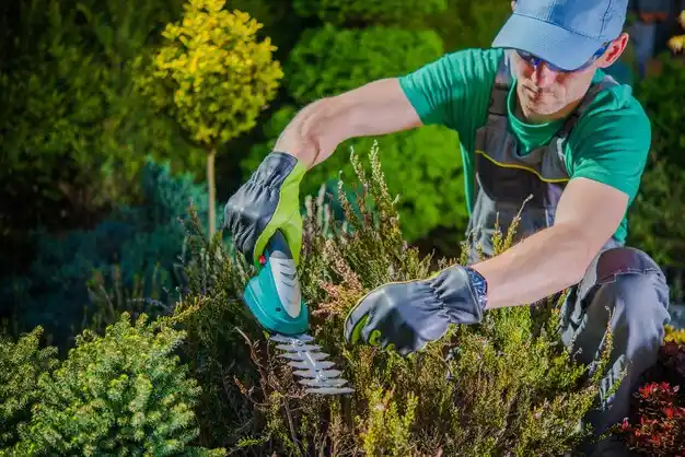 landscaping services Olcott